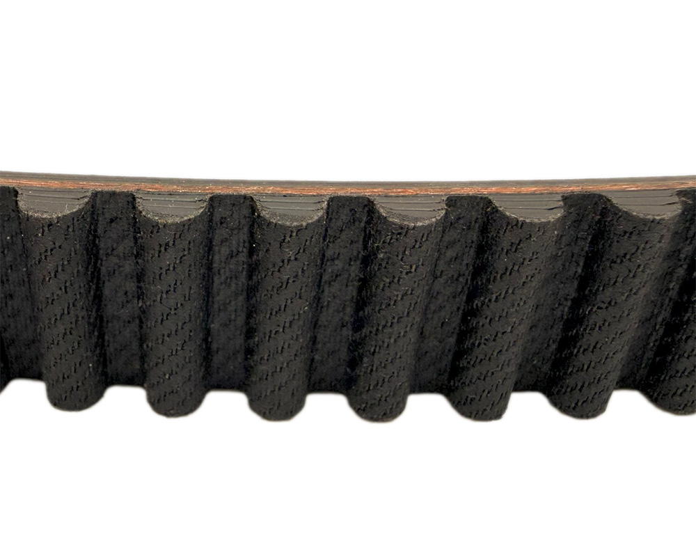 Belt, Rear Drive, 1304-8M 163 Teeth, HTD 163T (Part #10353) Fits HR Models, Requires 14T or 15T/99T Pulley - 2