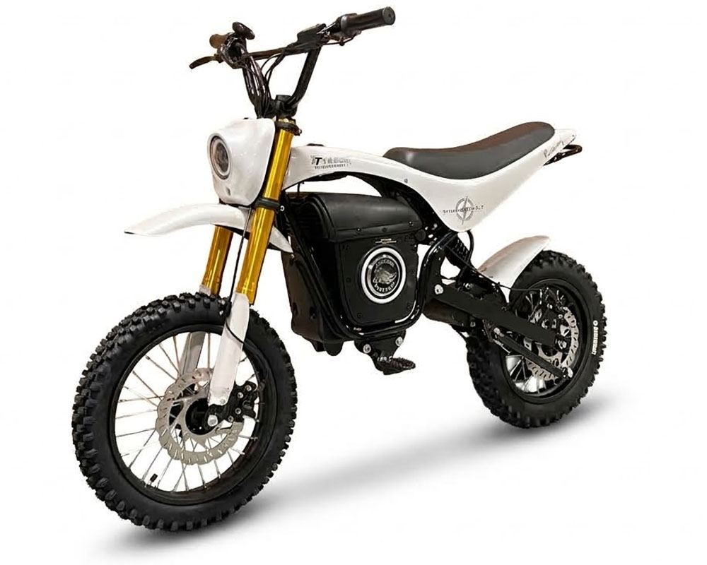 TT1600R to eMoto Conversion Kit, 14" Front and 12" Rear eMoto Tires, Gold Anodized Front Forks, Extended Swing Arm, eMoto Rear Shock, Includes All Hardware (Part #16049) Fits TT1600R - 2