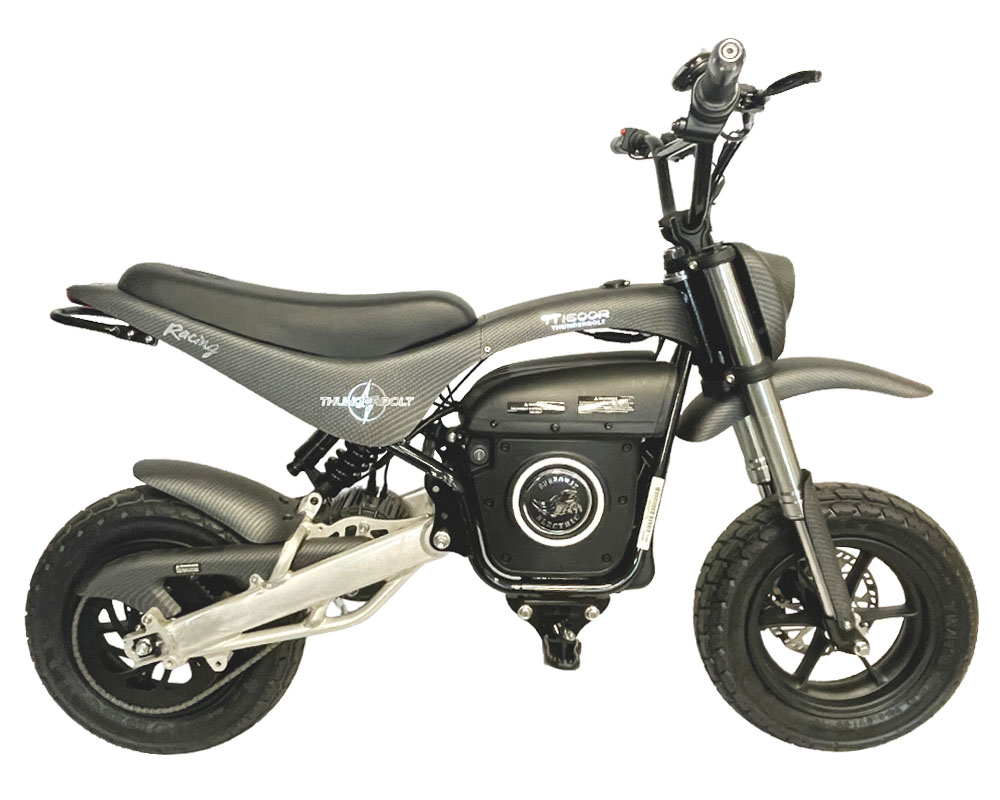 Swing Arm Kit, Performance 6kW Peak Upgrade for TT1600R, Includes 3.5Kw Motor, 120mm Over Stock Extended Aluminum Swing Arm, 230mm Shock, 100A Controller and 72v 20ah Battery (Part #16057-72V) Fits TT1600R - 10