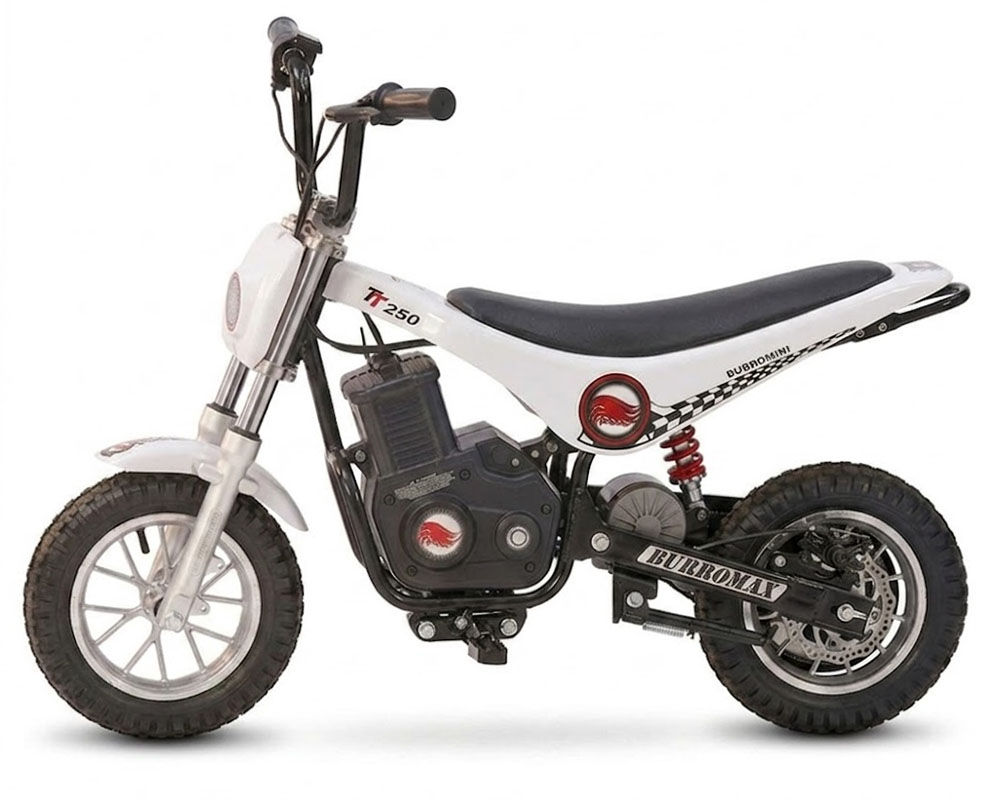 Electric Mini Bike, TT250 (Color: White) - 2