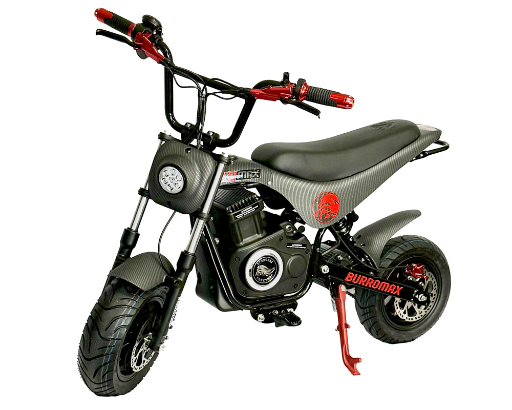 TT 1000 R
